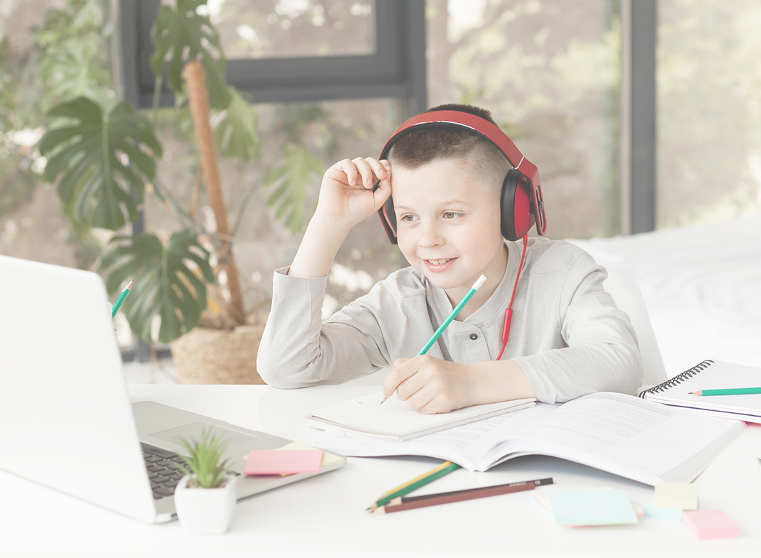 Ematematika usluge sačinjavaju instrukcije iz matematike i ostalih prirodnih predmeta te rješenja zadataka s postupkom.